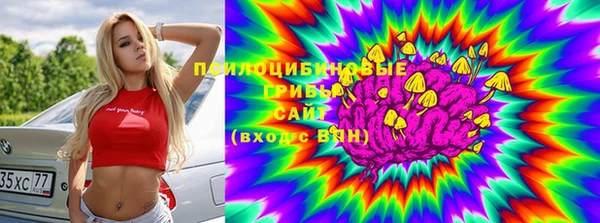 спиды Аркадак