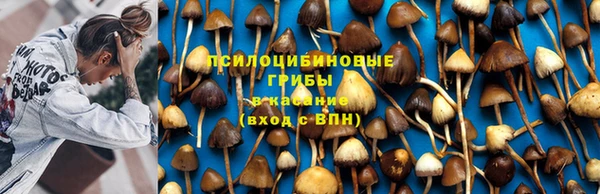 мяу мяу мука Армянск