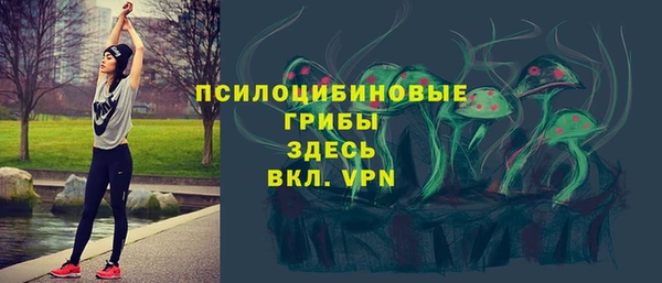 mix Арсеньев