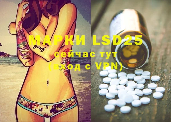 стафф Вязьма