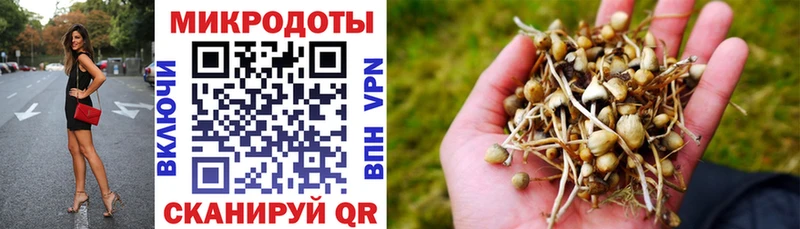 что такое   Мурманск  блэк спрут ССЫЛКА  Галлюциногенные грибы ЛСД 