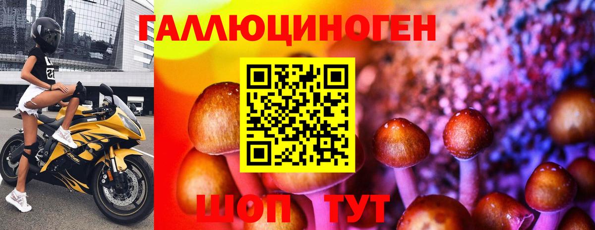 Галлюциногенные грибы мицелий  Галлюциногенные грибы мухоморы  Мурманск  Вход с VPN 