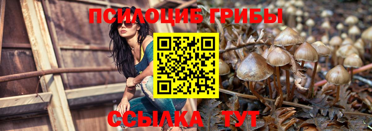 Галлюциногенные грибы мухоморы Мурманск